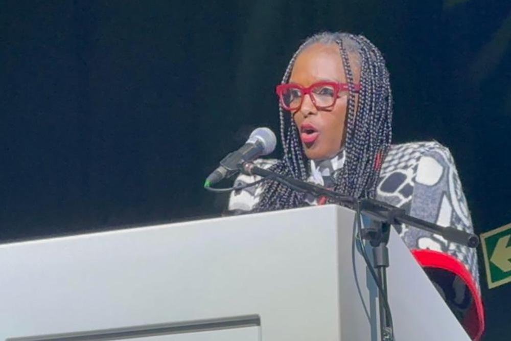 Transnet looks to rest of Africa for collaborative relationships